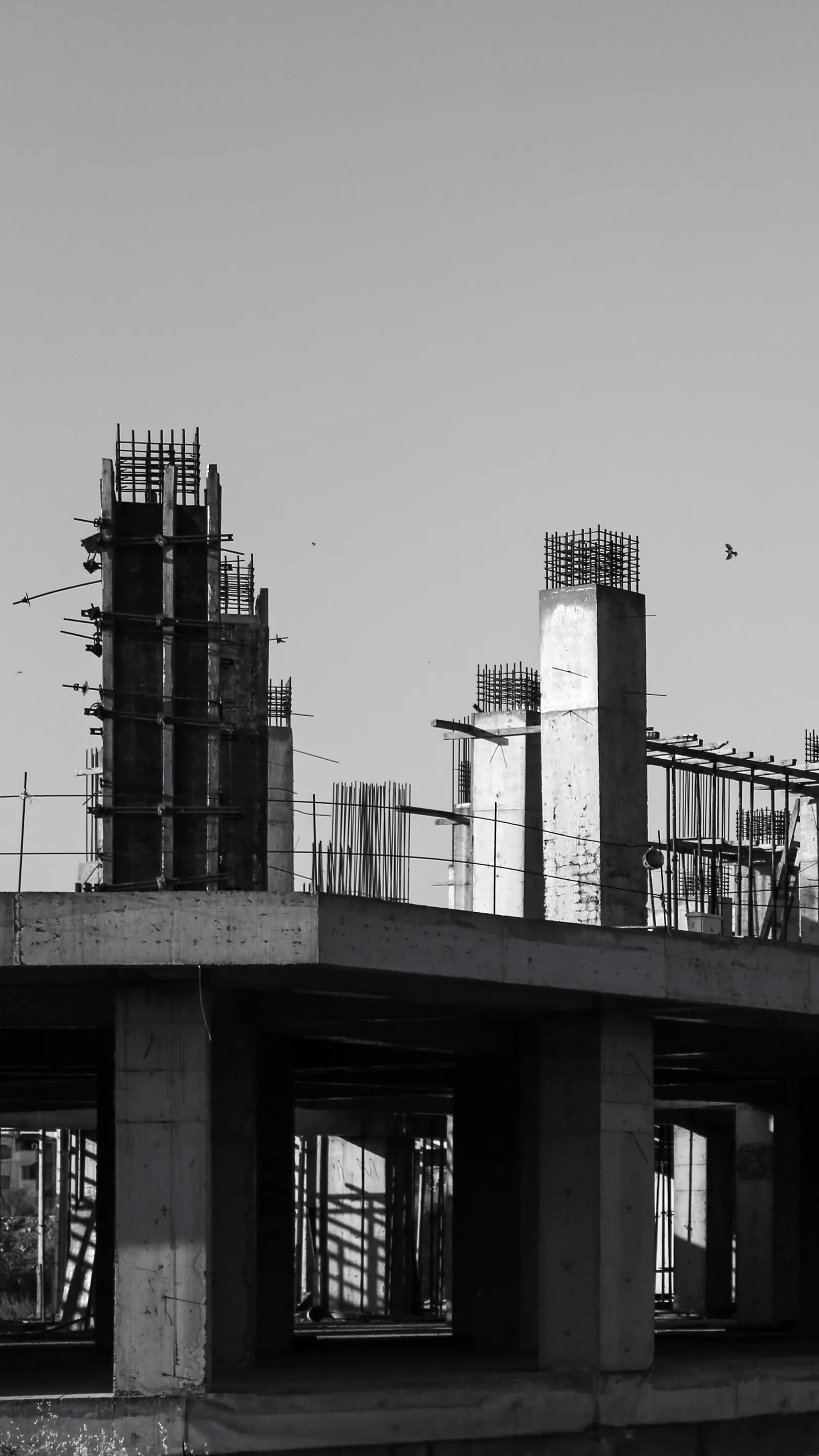 Concrete column grid under construction with reinforcing steel extending above the structure.